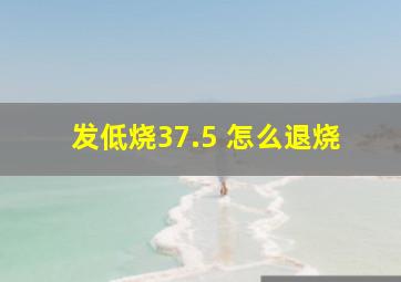 发低烧37.5 怎么退烧